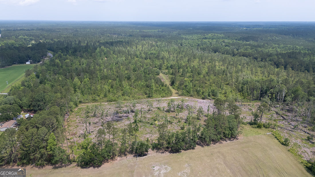 0 Old Louisville Road, Unit LOT 5 Guyton, GA 31312 - Photo 9 of 18 a view of a field with an outdoor space