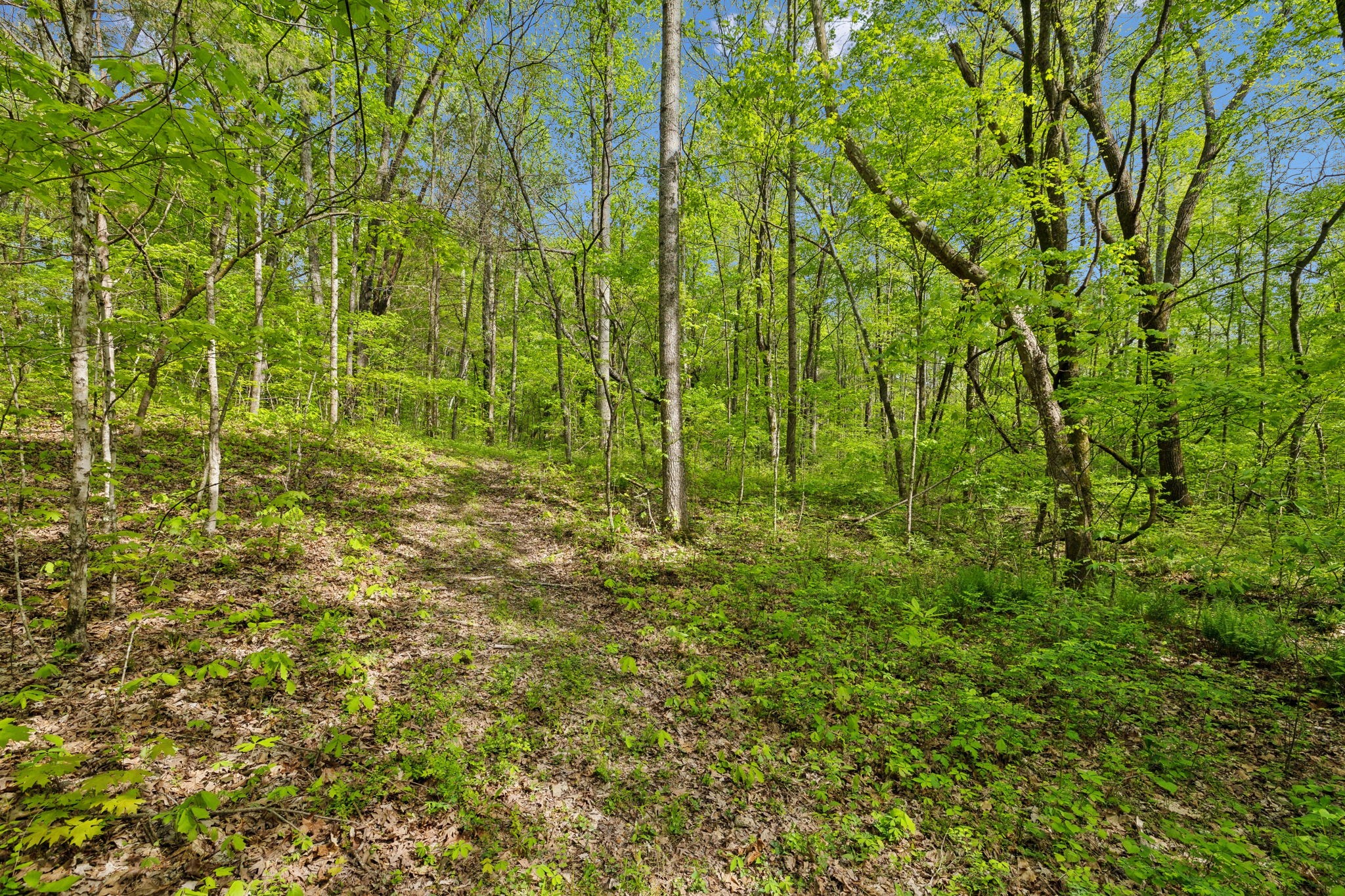 10924 Rials Branch Road Bon Aqua, TN 37025 - Photo 11 of 25 a view of a backyard