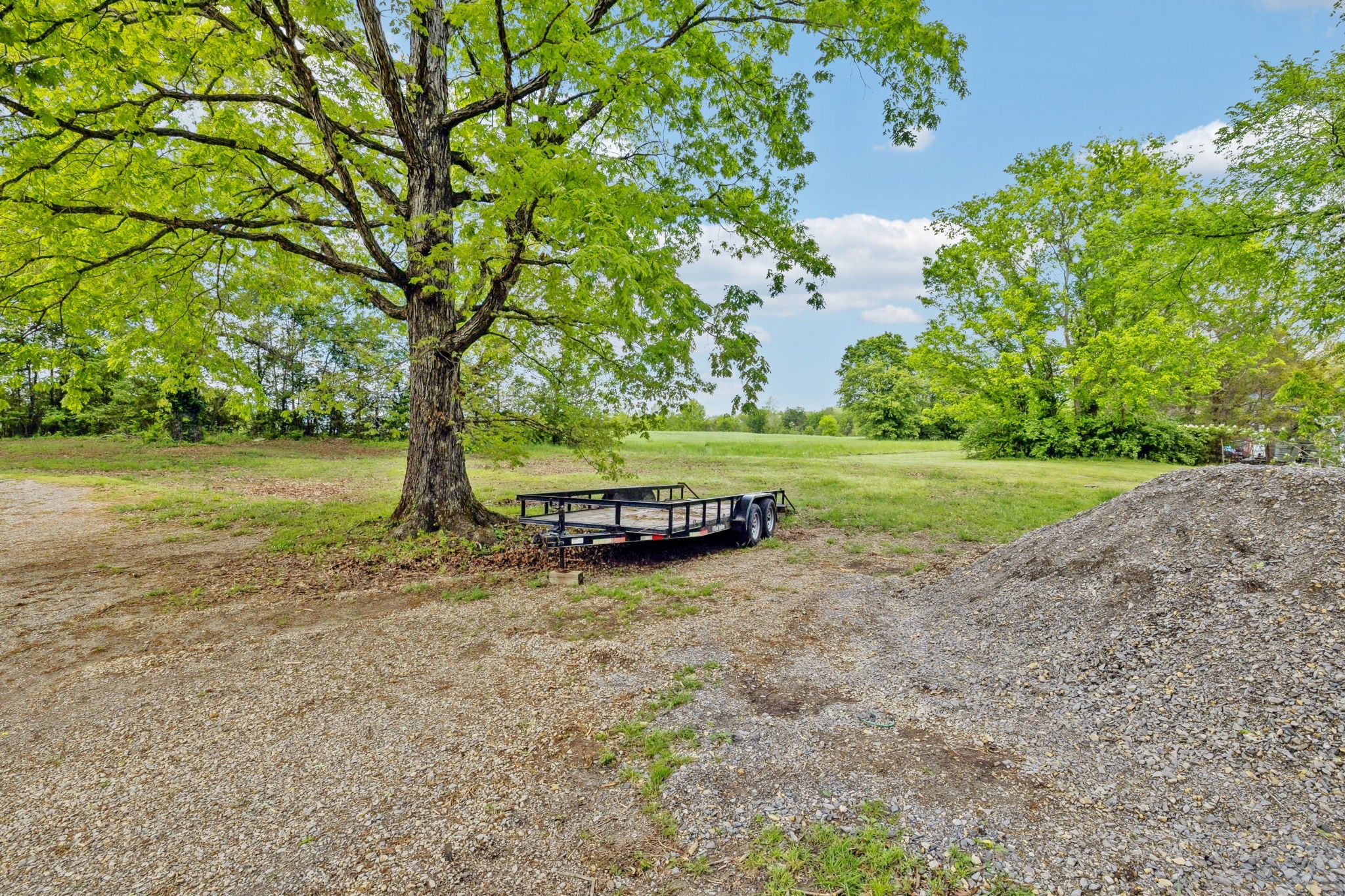 10924 Rials Branch Road Bon Aqua, TN 37025 - Photo 13 of 25 a view of a yard with an trees