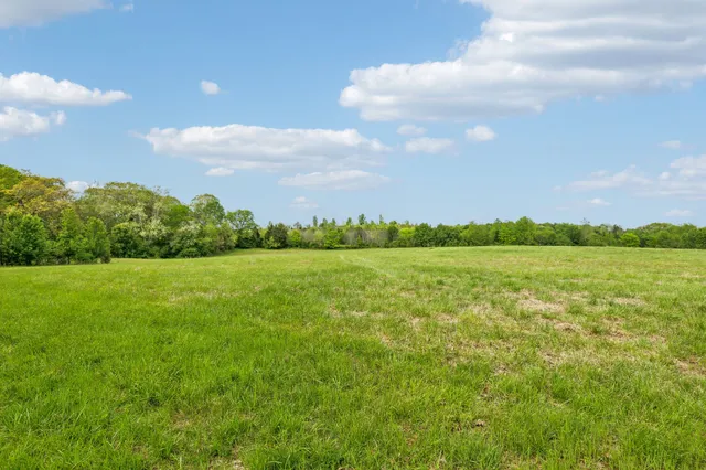 a view of a green field with lots of green space