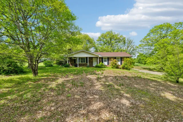 a view of a yard with a tree
