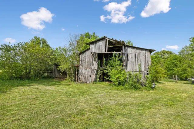 a view of a backyard