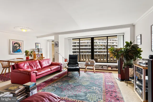 a living room with furniture potted plant and a large window
