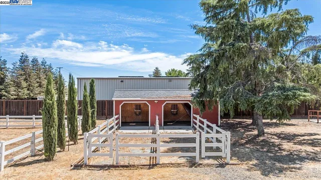 a view of a backyard with trees