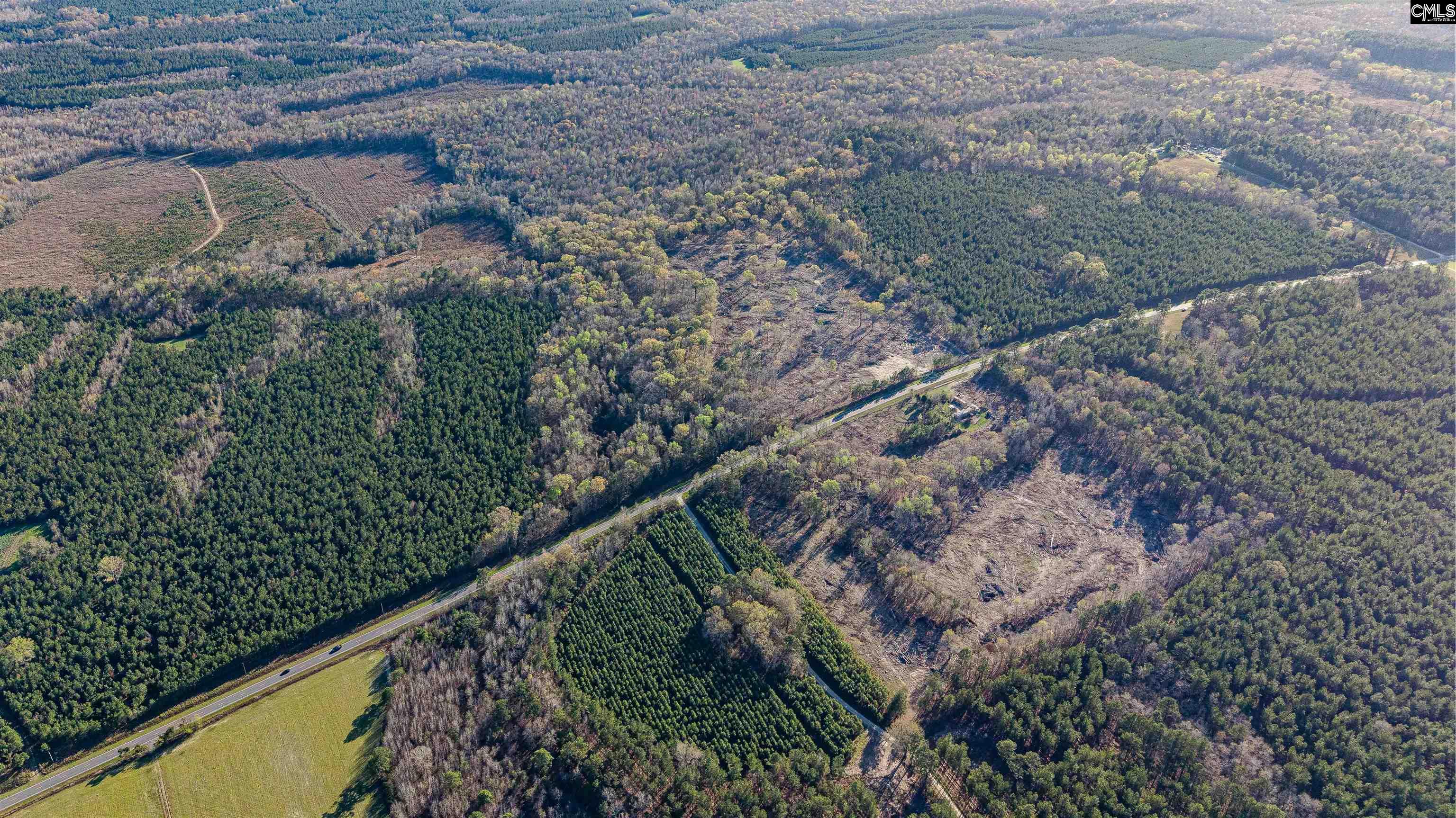 1856 River Road Greeleyville, SC 29056 - Photo 2 of 31