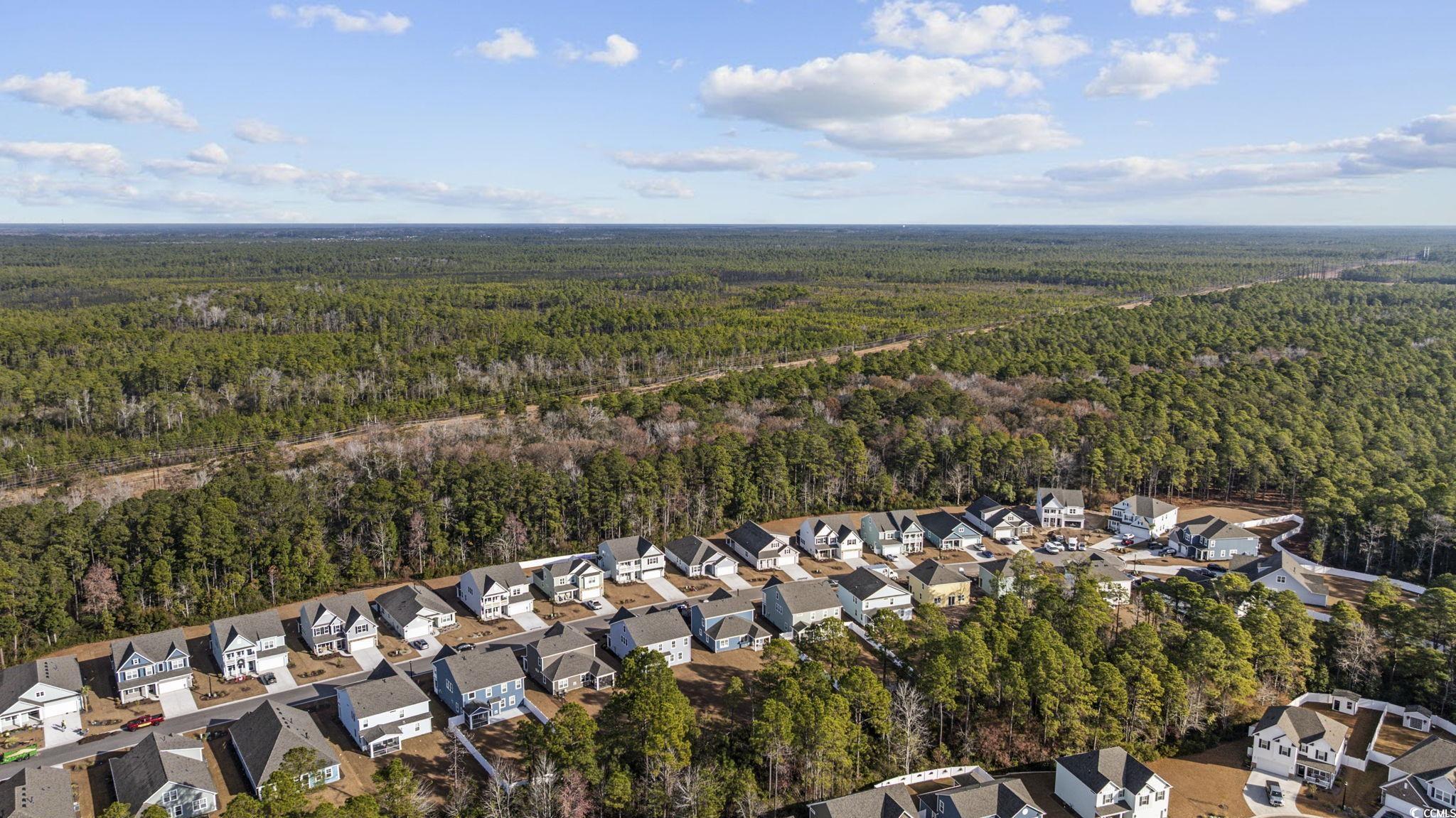 7151 Shooting Star Way Myrtle Beach, SC 29579 - Photo 31 of 40