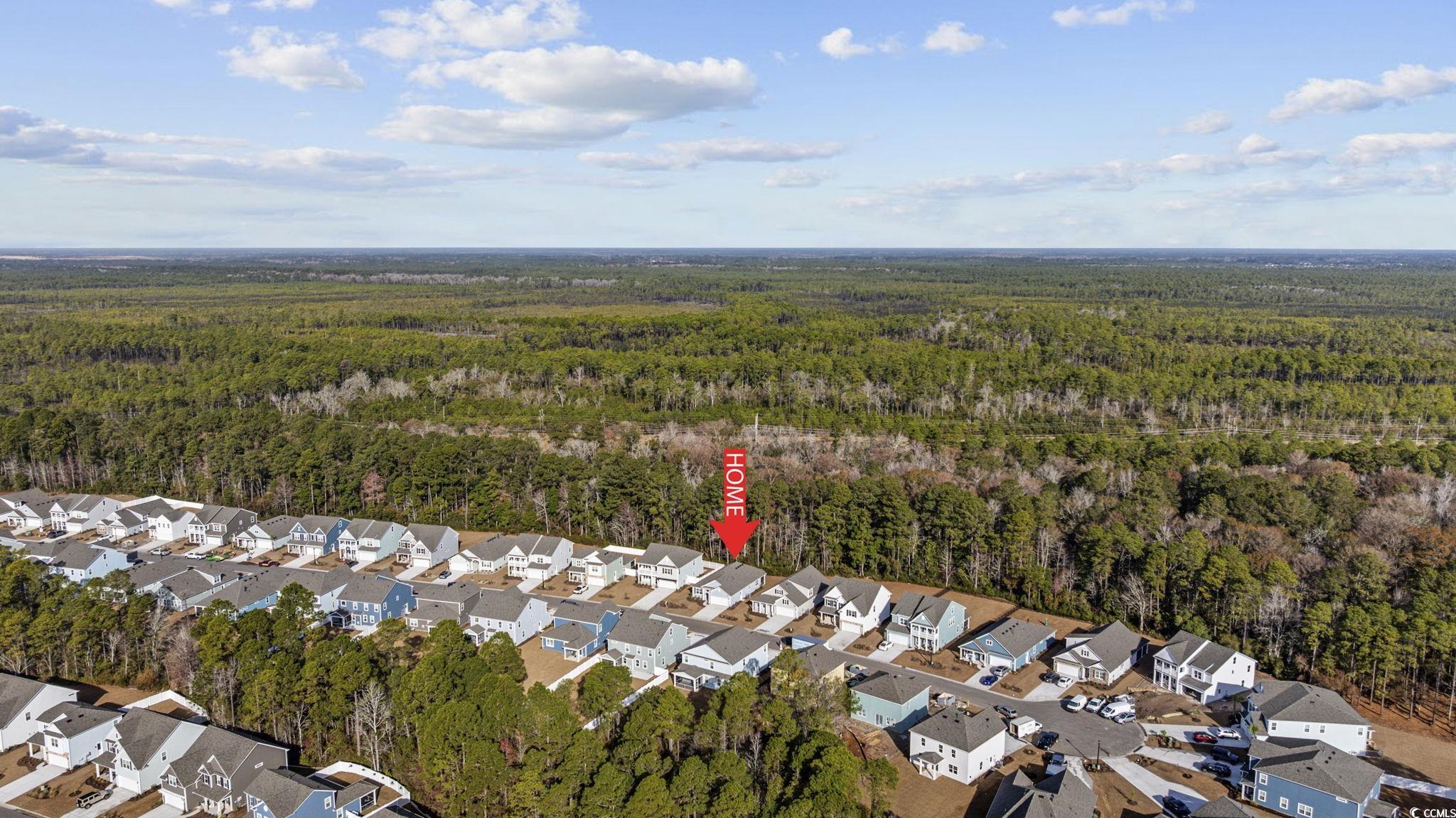 7151 Shooting Star Way Myrtle Beach, SC 29579 - Photo 32 of 40