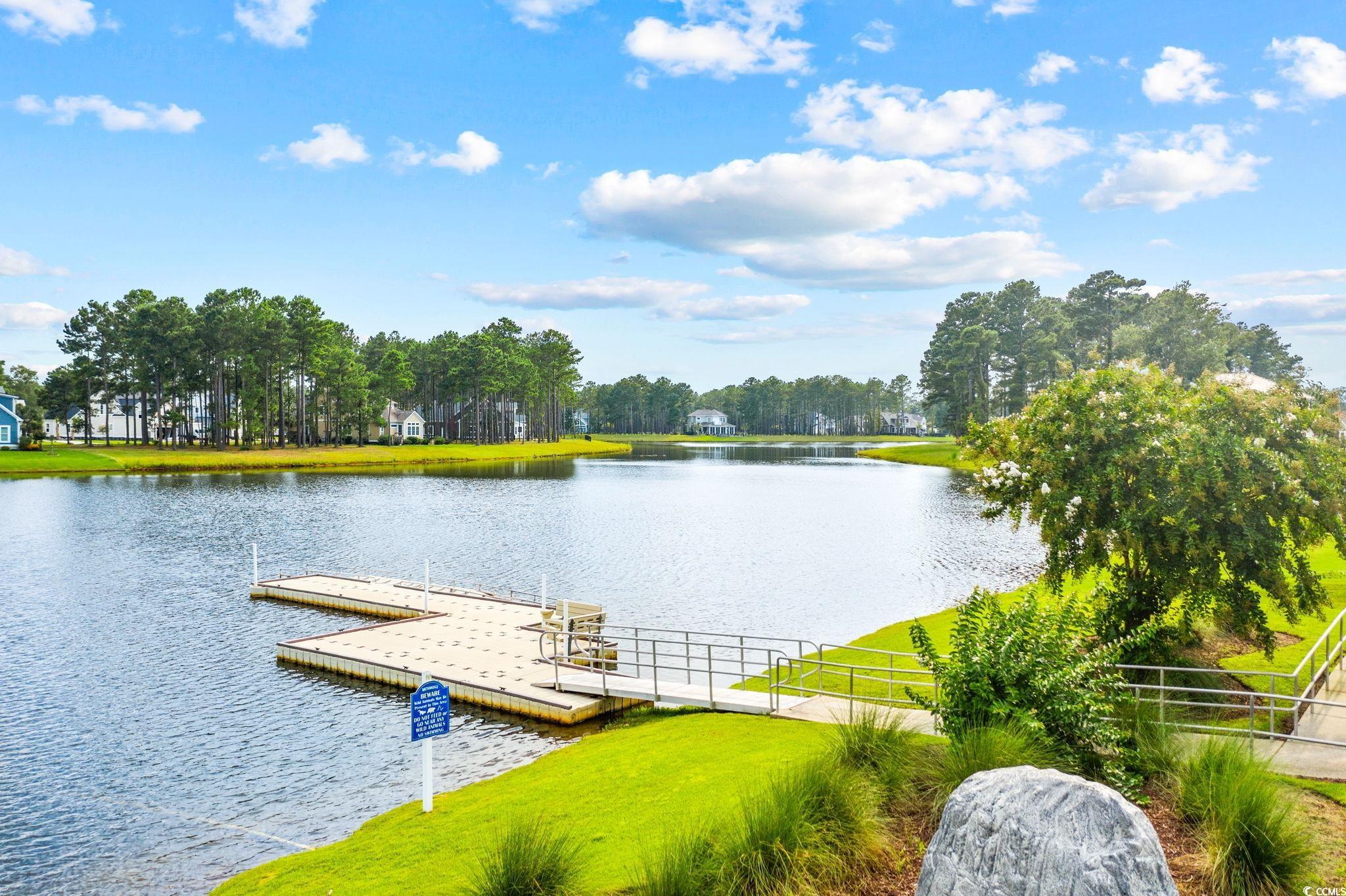 7151 Shooting Star Way Myrtle Beach, SC 29579 - Photo 37 of 40