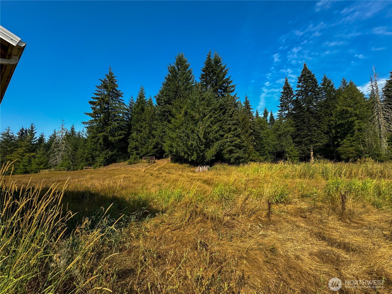 773 Lucas Creek Road Chehalis, WA 98532 - Photo 39 of 40 a view of outdoor space and yard