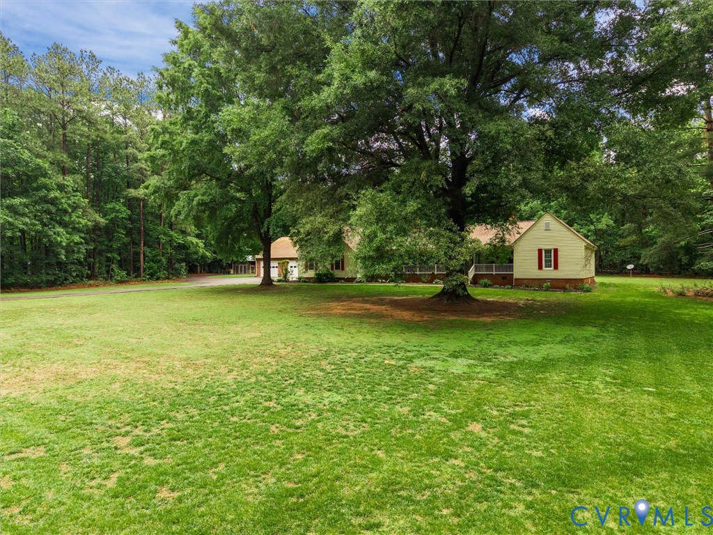 3420 State Rte 656 Powhatan, VA 23139 - Photo 2 of 37 a view of a trees with a big yard