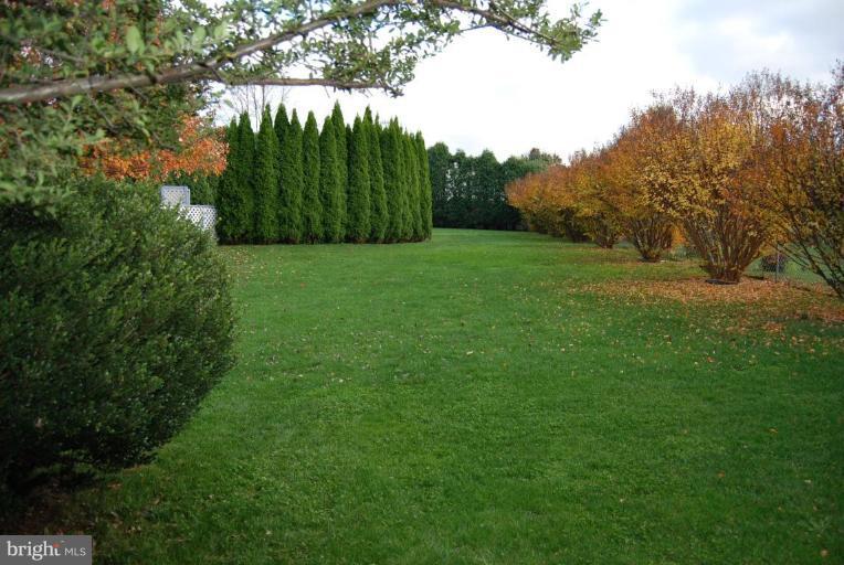 2811 Fridinger Mill Road Manchester, MD 21102 - Photo 2 of 14 Back yard