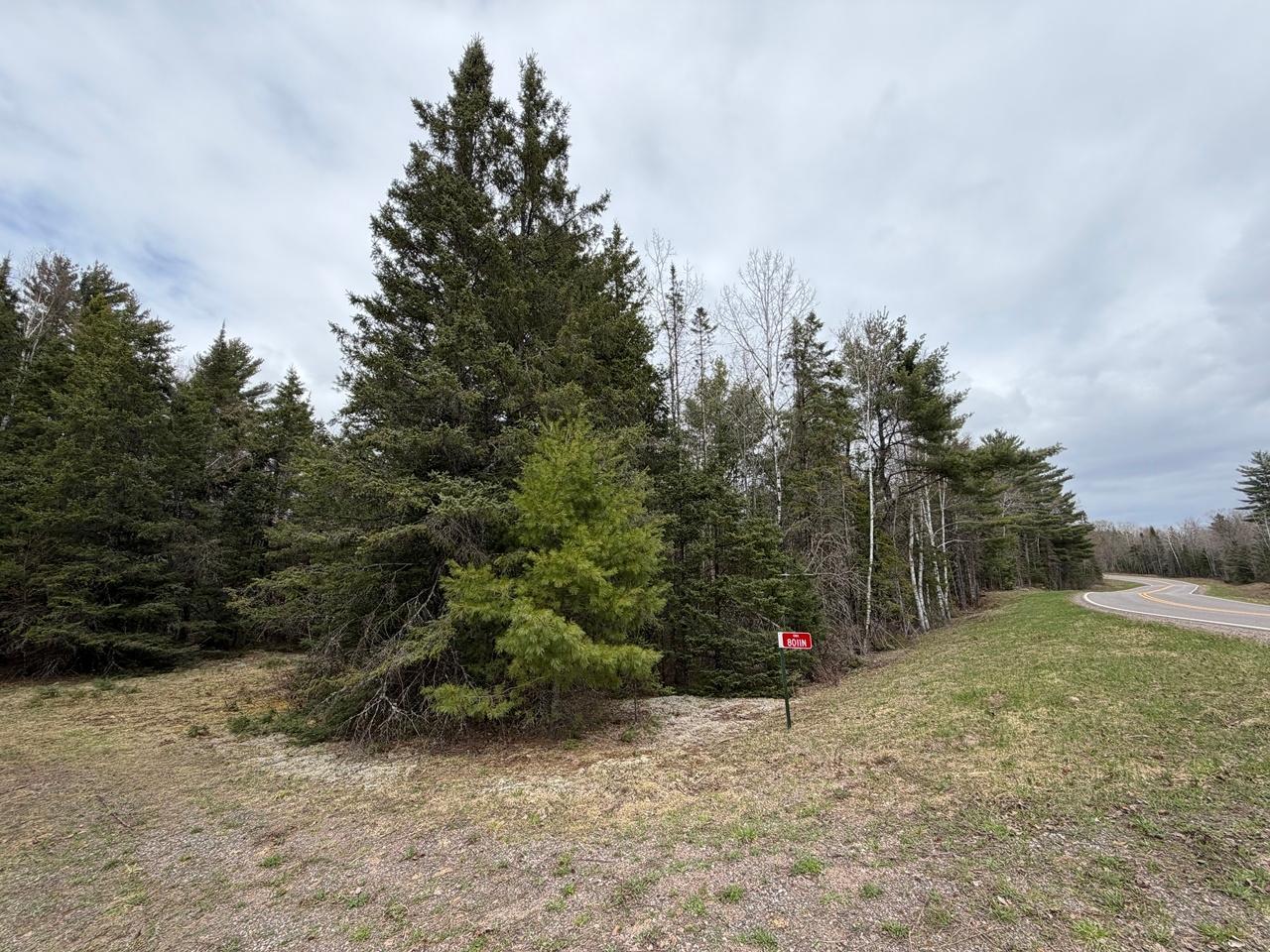 8114 North Cth G Mercer, WI 54547 - Photo 8 of 24 Gallery Image 8