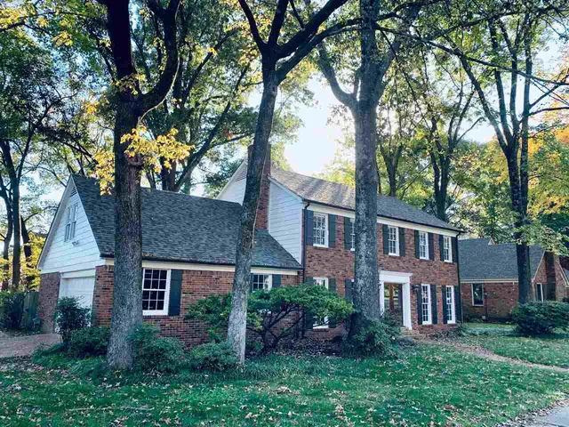 front view of a house with a tree