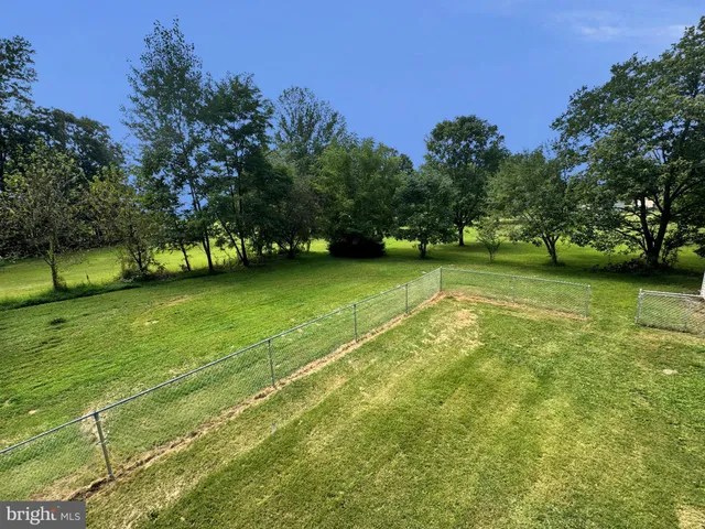 a view of a trees with a yard