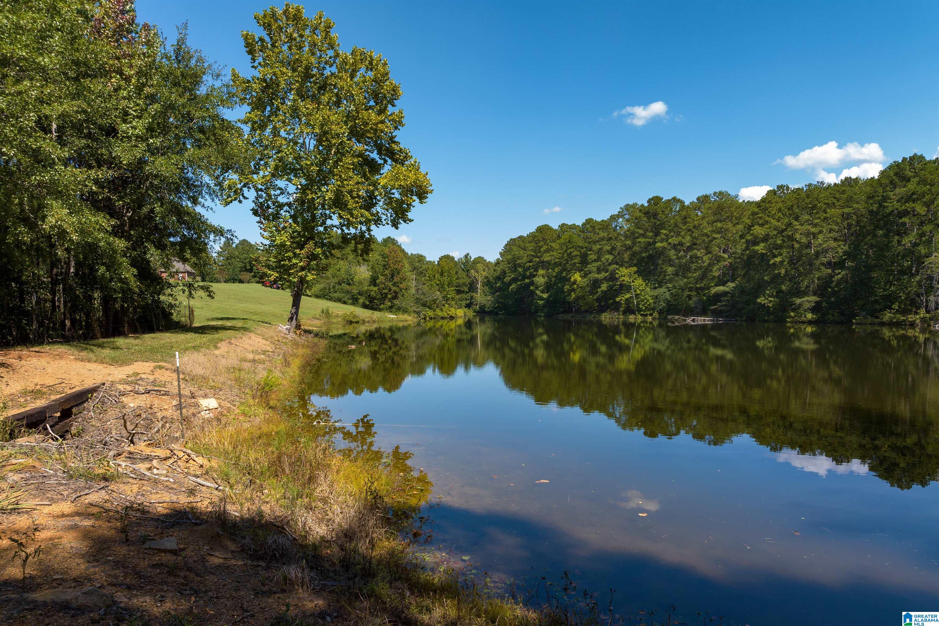 6677 Letson Lake Road Bessemer, AL 35023 - Photo 56 of 65