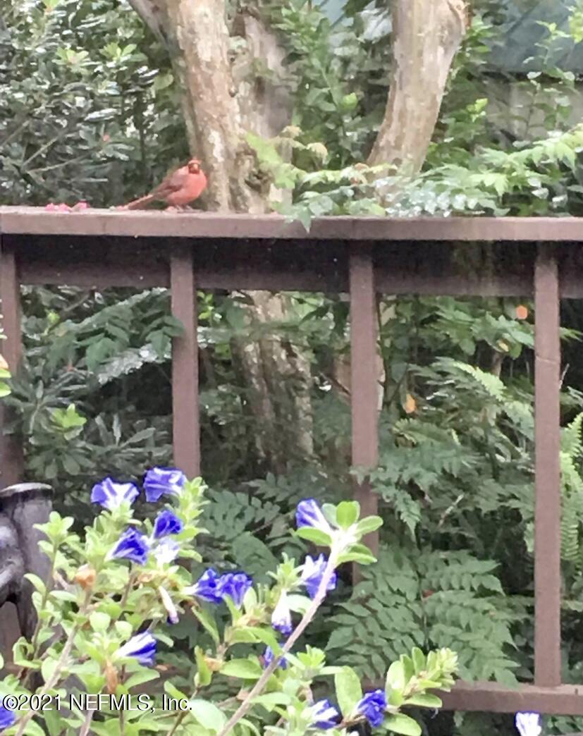 4121 Gadsden Road Jacksonville, FL 32207 - Photo 8 of 14 Gadsden Redbird