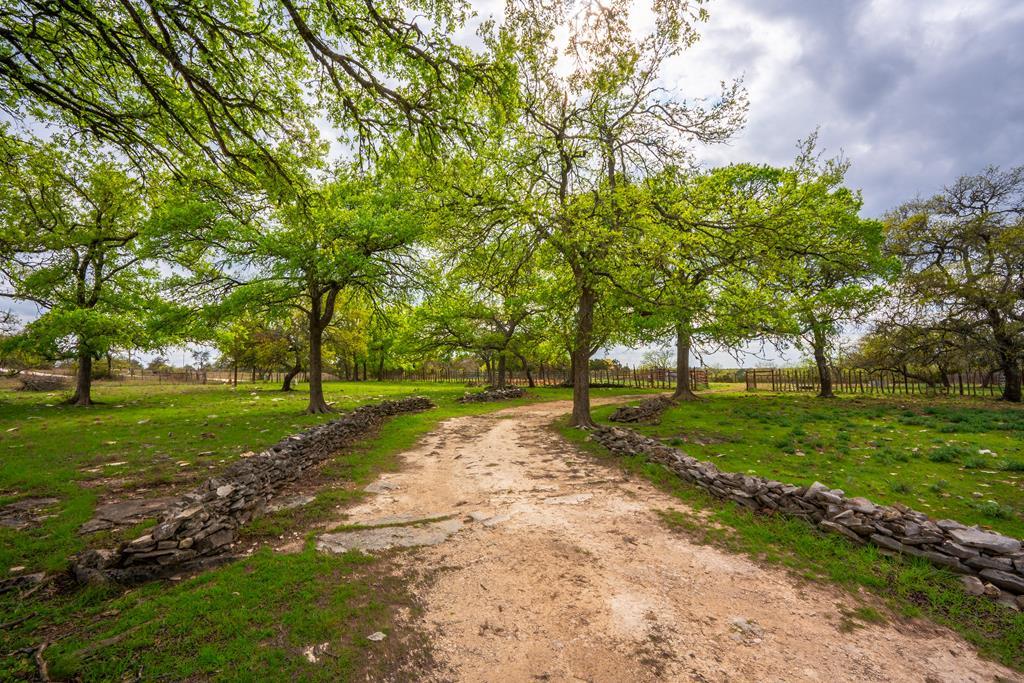 346 Crabapple Road Blanco, TX 78606 - Photo 2 of 20 Gallery Image 2