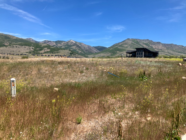 4008 Ridge Road Eden, UT 84310 - Photo 5 of 6