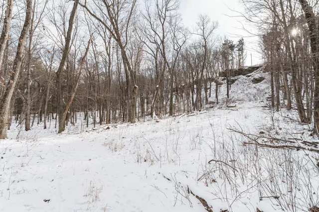 $175,000 | Lt1 Rockwood Road, Lyndon Station, WI 53944