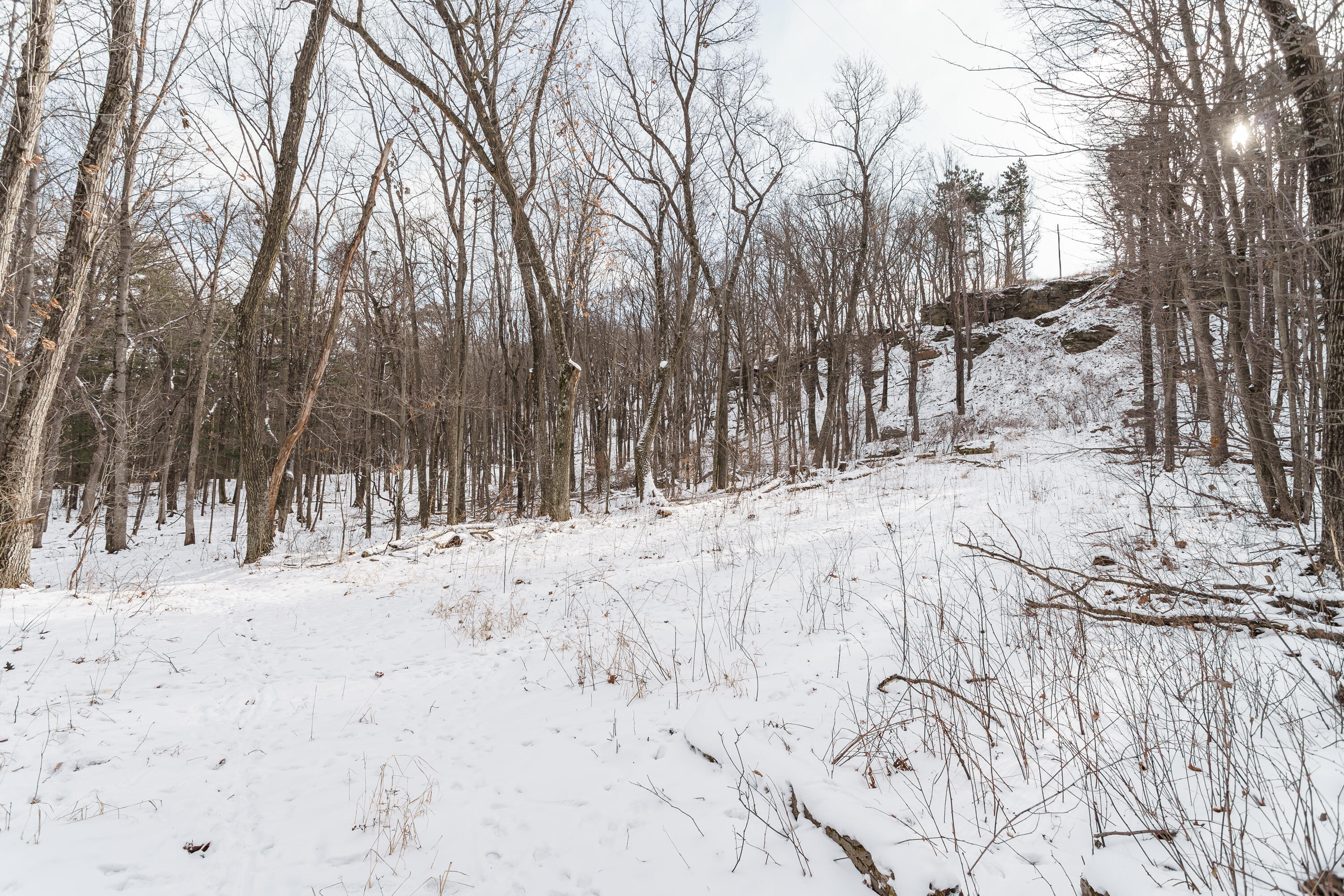 Lt1 Rockwood Road Lyndon Station, WI 53944 - Photo 3 of 4 31