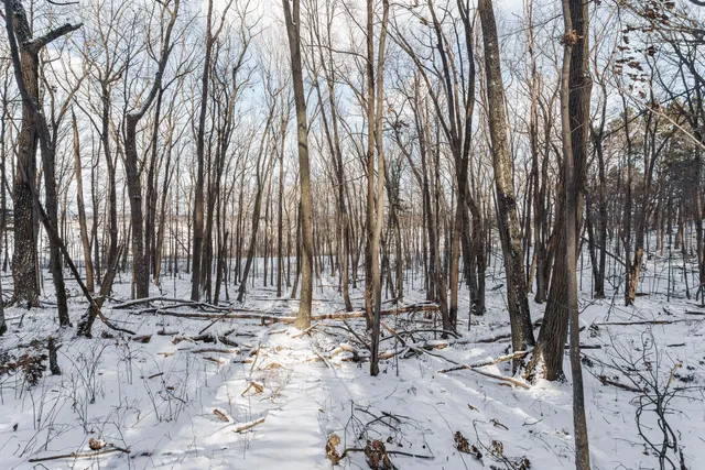 $175,000 | Lt1 Rockwood Road, Lyndon Station, WI 53944