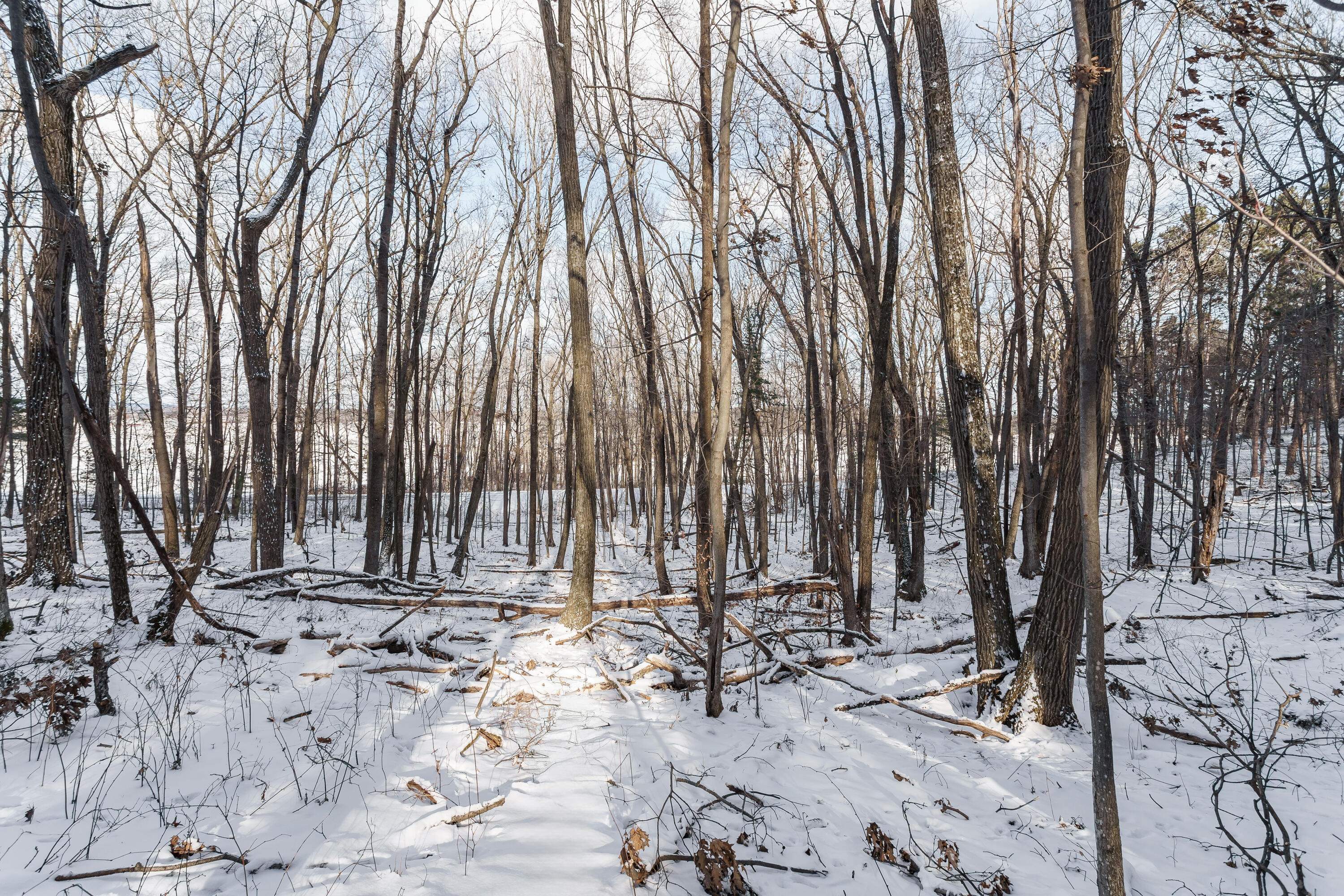 Lt1 Rockwood Road Lyndon Station, WI 53944 - Photo 4 of 4 22
