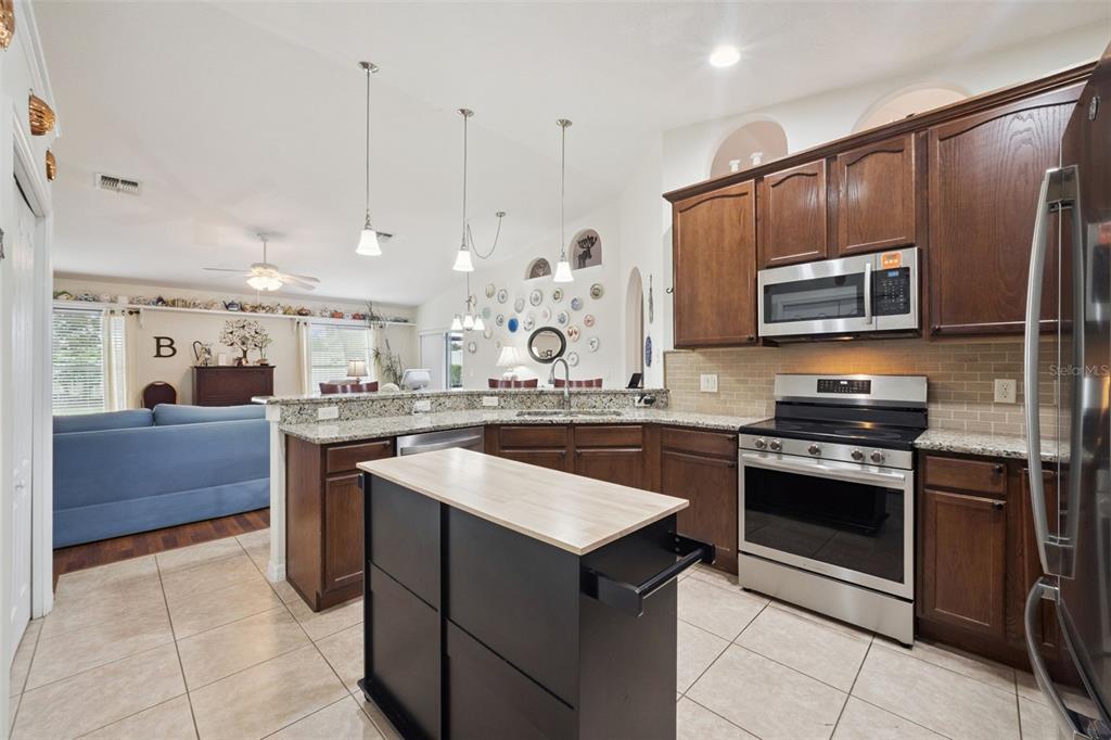 2243 Wolf Ridge Lane Mount Dora, FL 32757 - Photo 4 of 57