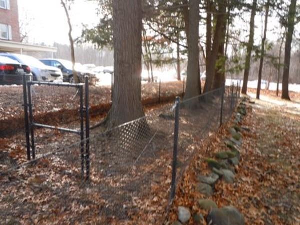201 Turnpike Street North Andover, MA 01845 - Photo 19 of 20 a view of a yard with plants and trees