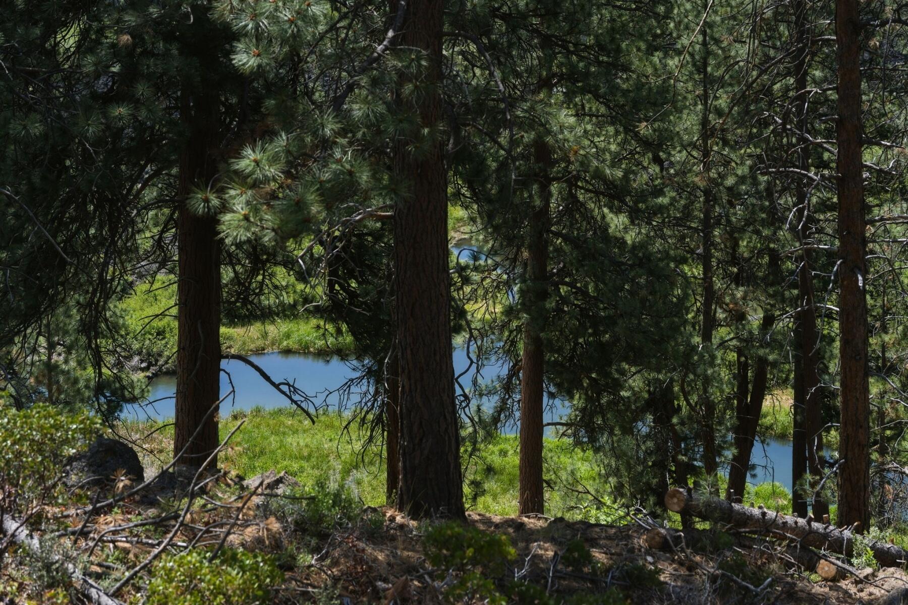 60420 Snap Shot Loop Bend, OR 97702 - Photo 24 of 51 Gorgeous and peaceful views