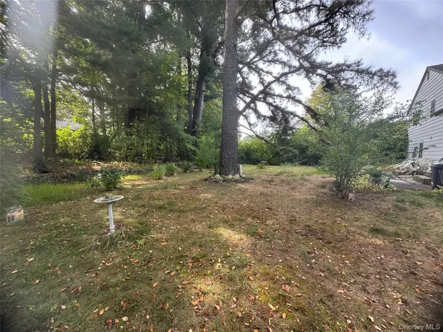 a view of outdoor space with trees