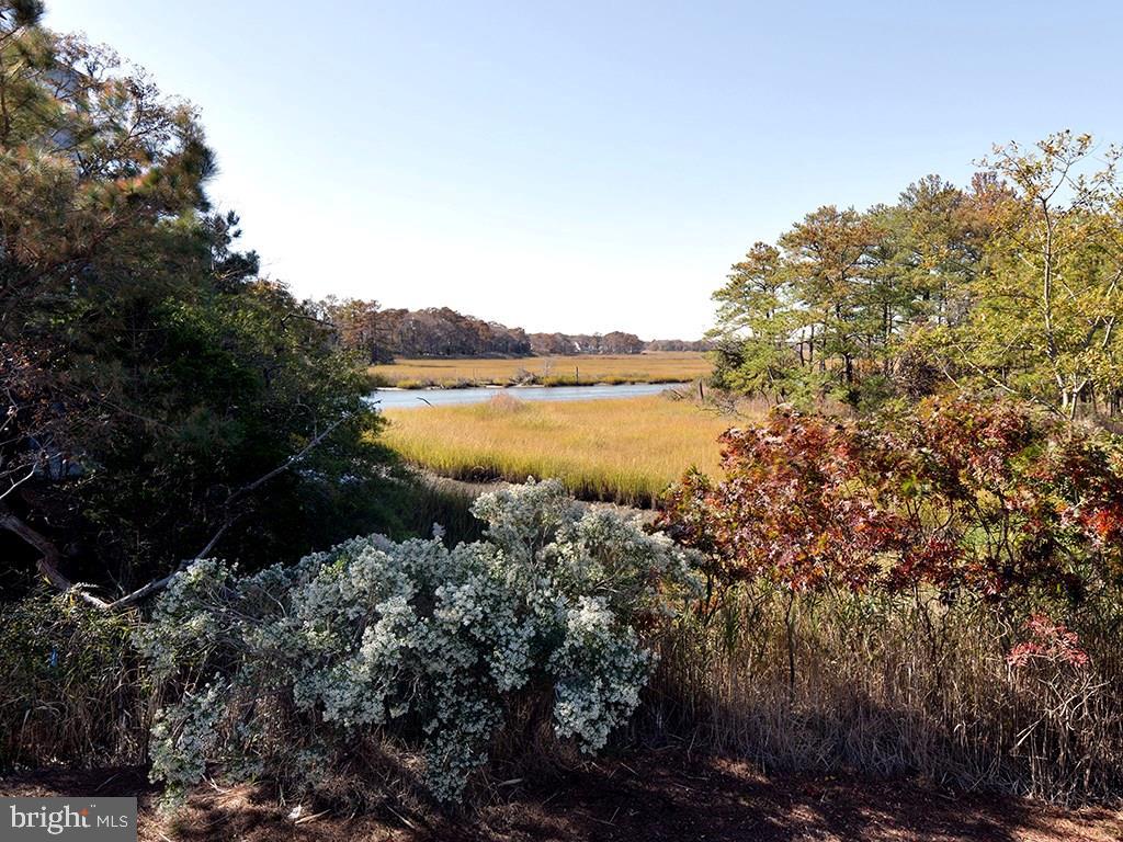 44 Farview Road Rehoboth Beach, DE 19971 - Photo 45 of 46 Gallery Image 45