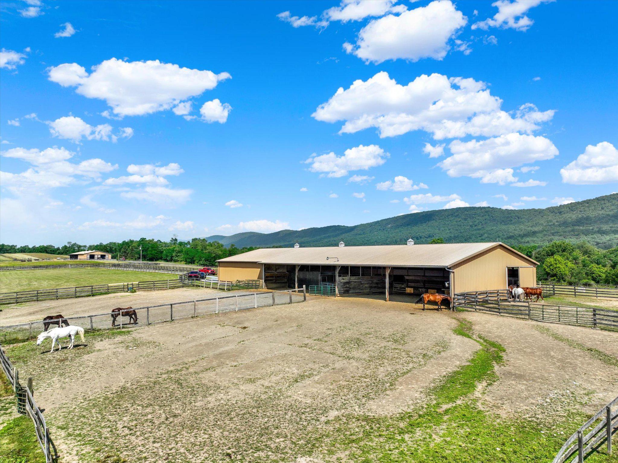 255 Sheaffer Road Carlisle, PA 17013 - Photo 8 of 32 Sprawling equestrian paradise awaits!
