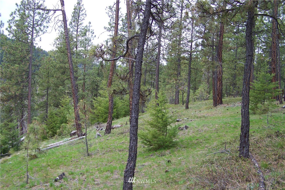 11030 Teanaway Road Cle Elum, WA 98922 - Photo 8 of 15 Gallery Image 8