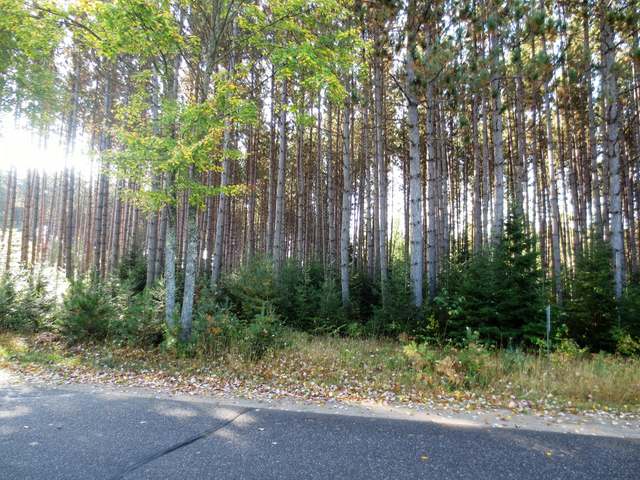 On Rolling Acres Drive Rhinelander, WI 54501 - Photo 3 of 7 Gallery Image 3