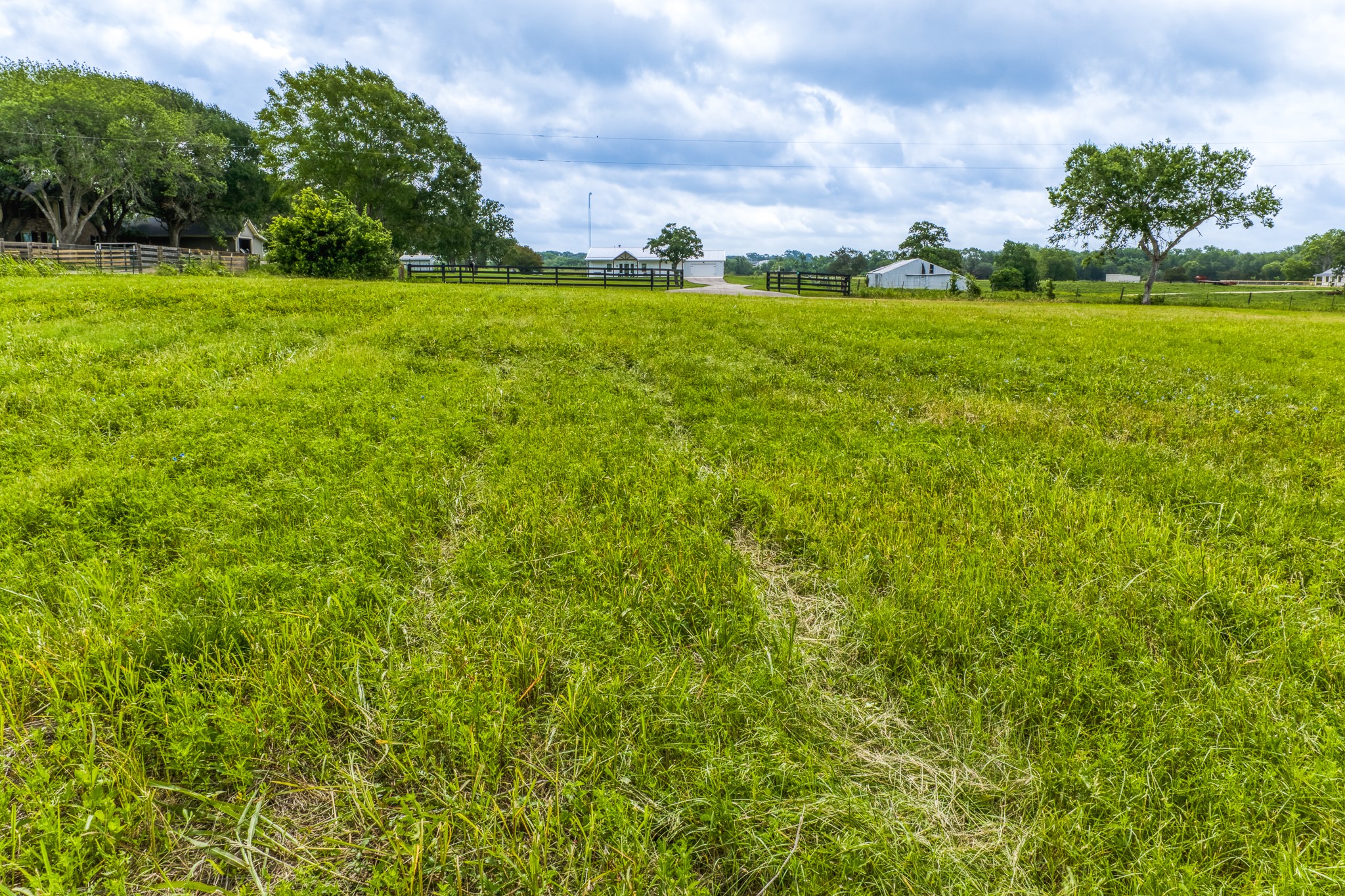 0 Randle Hill Road Brenham, TX 77833 - Photo 6 of 8