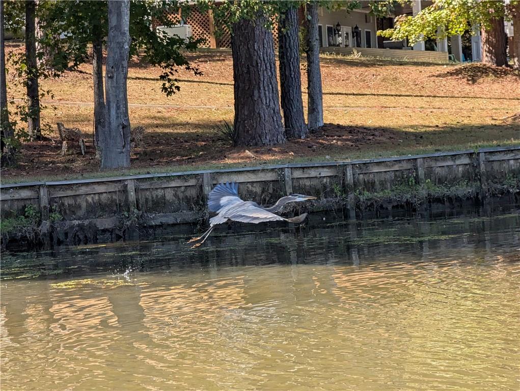 0 Woodland Way Sparta, GA 31087 - Photo 2 of 10 a view of a lake view