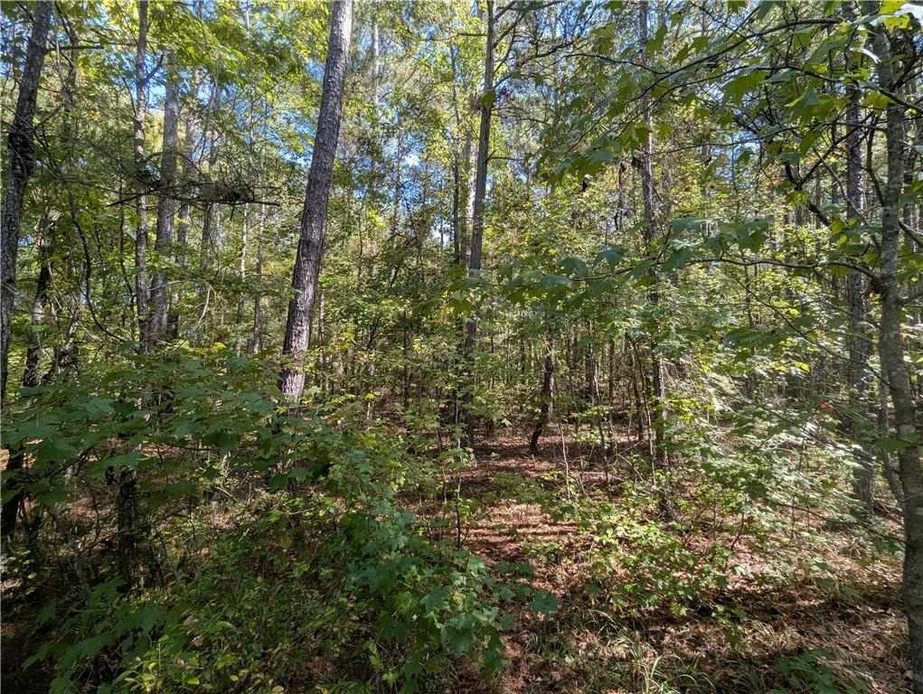 0 Woodland Way Sparta, GA 31087 - Photo 6 of 10 a view of a house with a tree