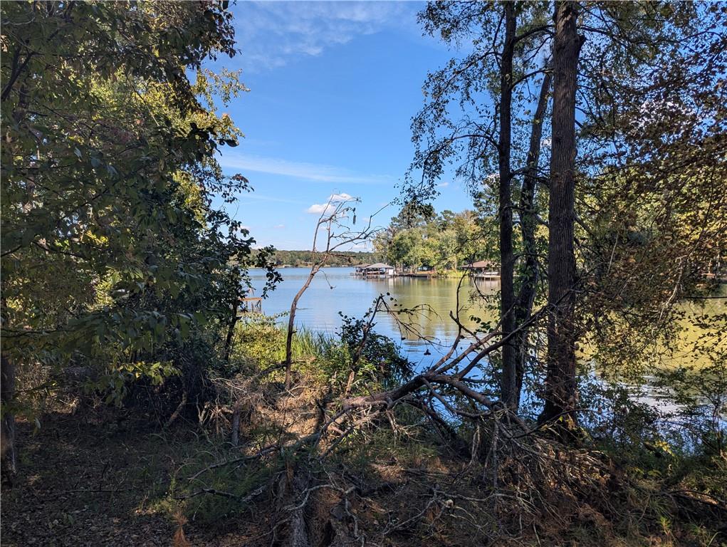 0 Woodland Way Sparta, GA 31087 - Photo 9 of 10 a backyard of a house with lots of green space
