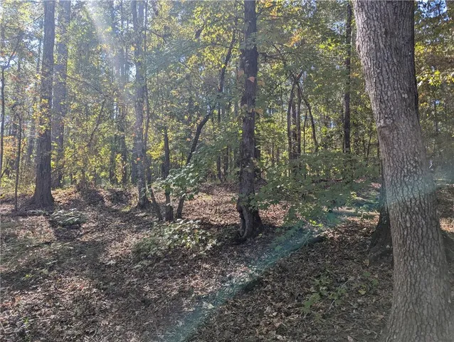 $145,000 | 0 Woodland Way, Sparta, GA 31087