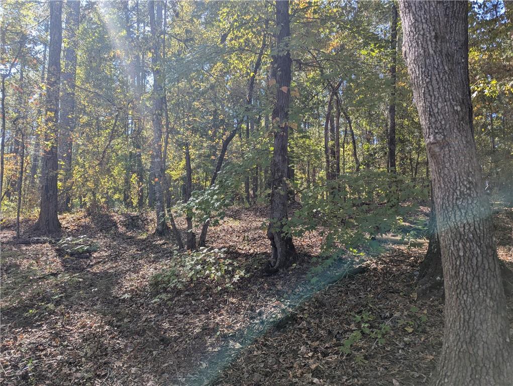 0 Woodland Way Sparta, GA 31087 - Photo 10 of 10 a view of a forest