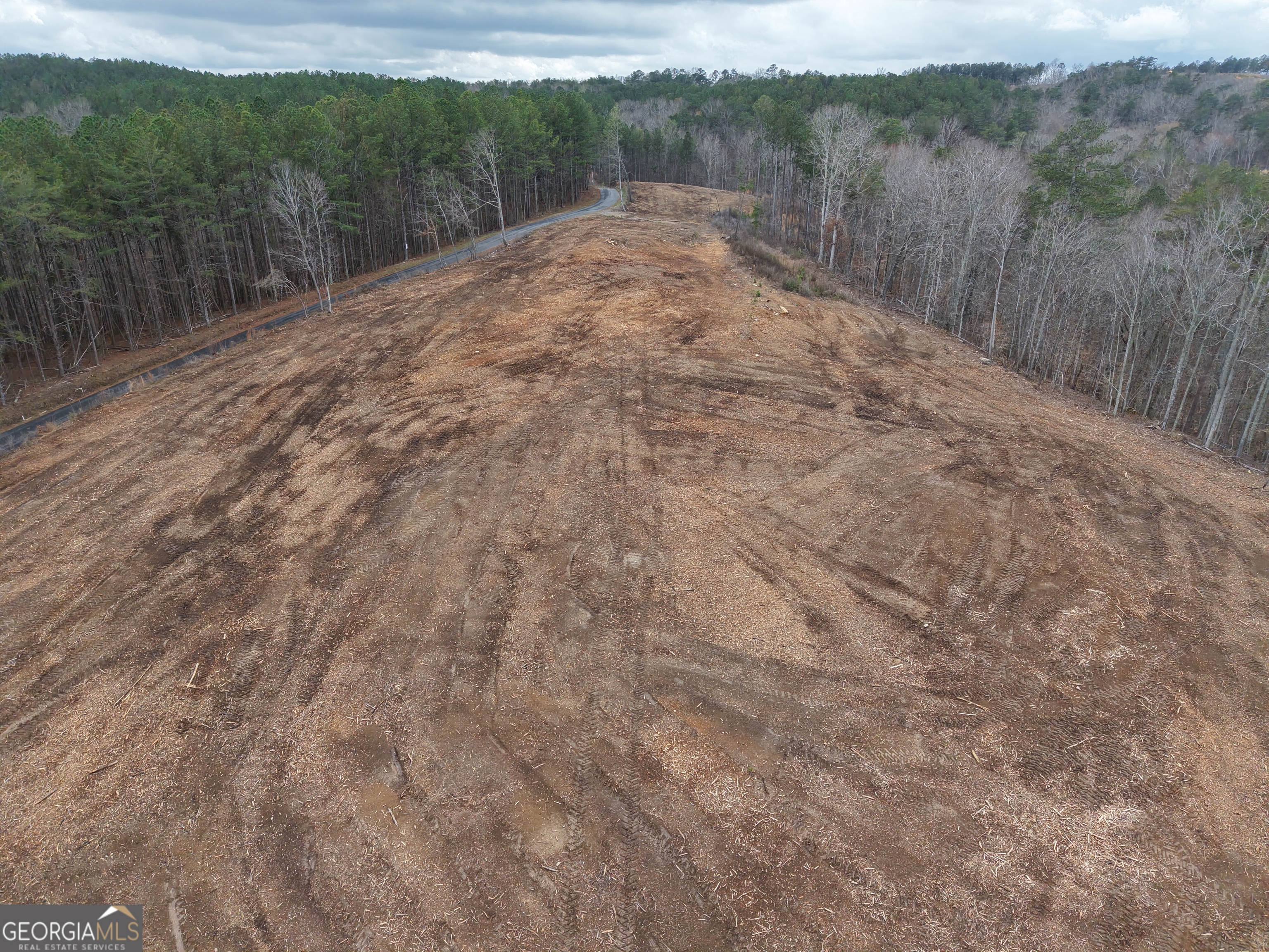 0 Johnson Mountain Road, Unit 7401E Fairmount, GA 30139 - Photo 11 of 53 a view of a dry yard with trees in the background