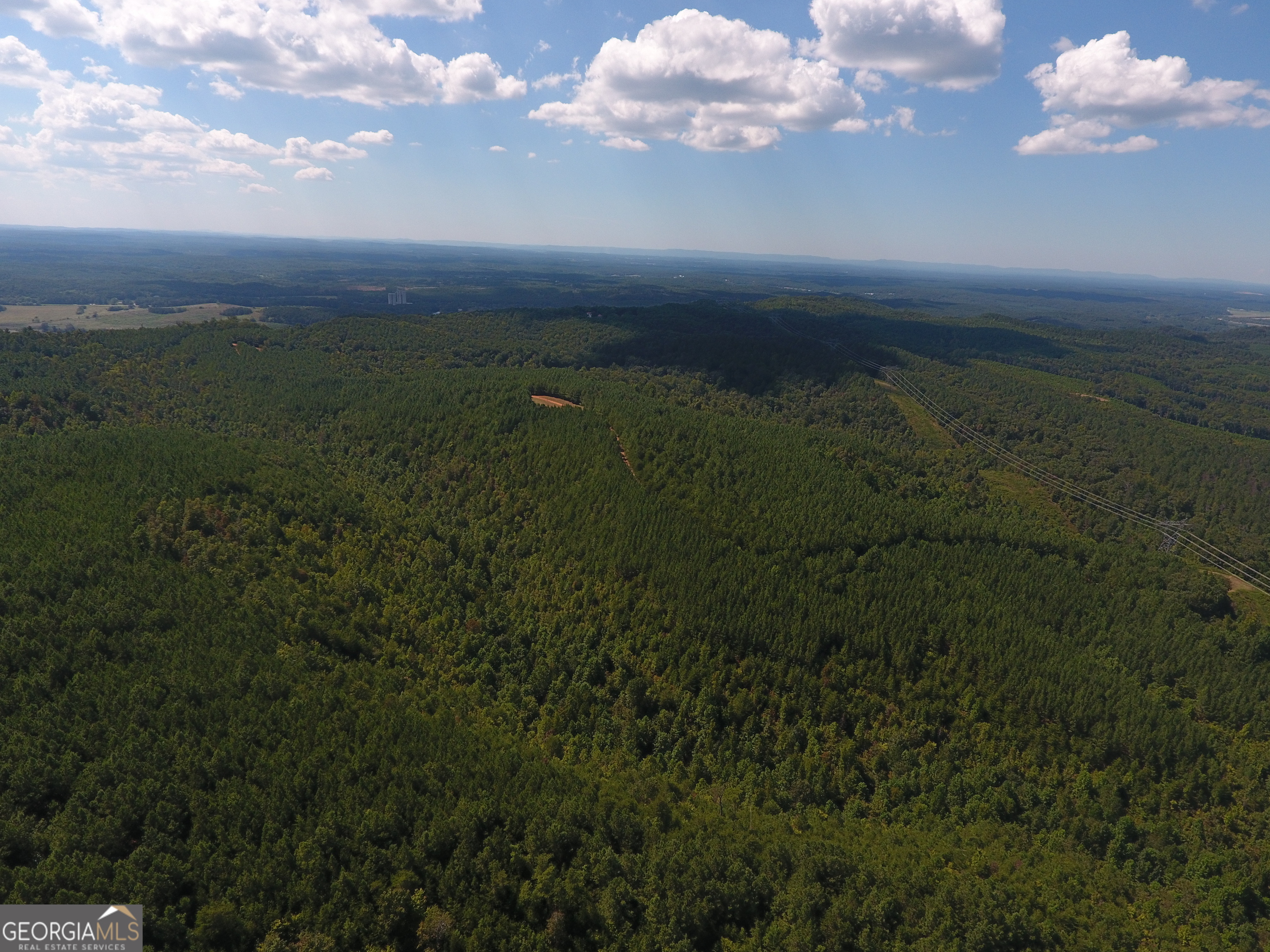 0 Johnson Mountain Road, Unit 7401E Fairmount, GA 30139 - Photo 11 of 33 a view of a lake in middle of forest