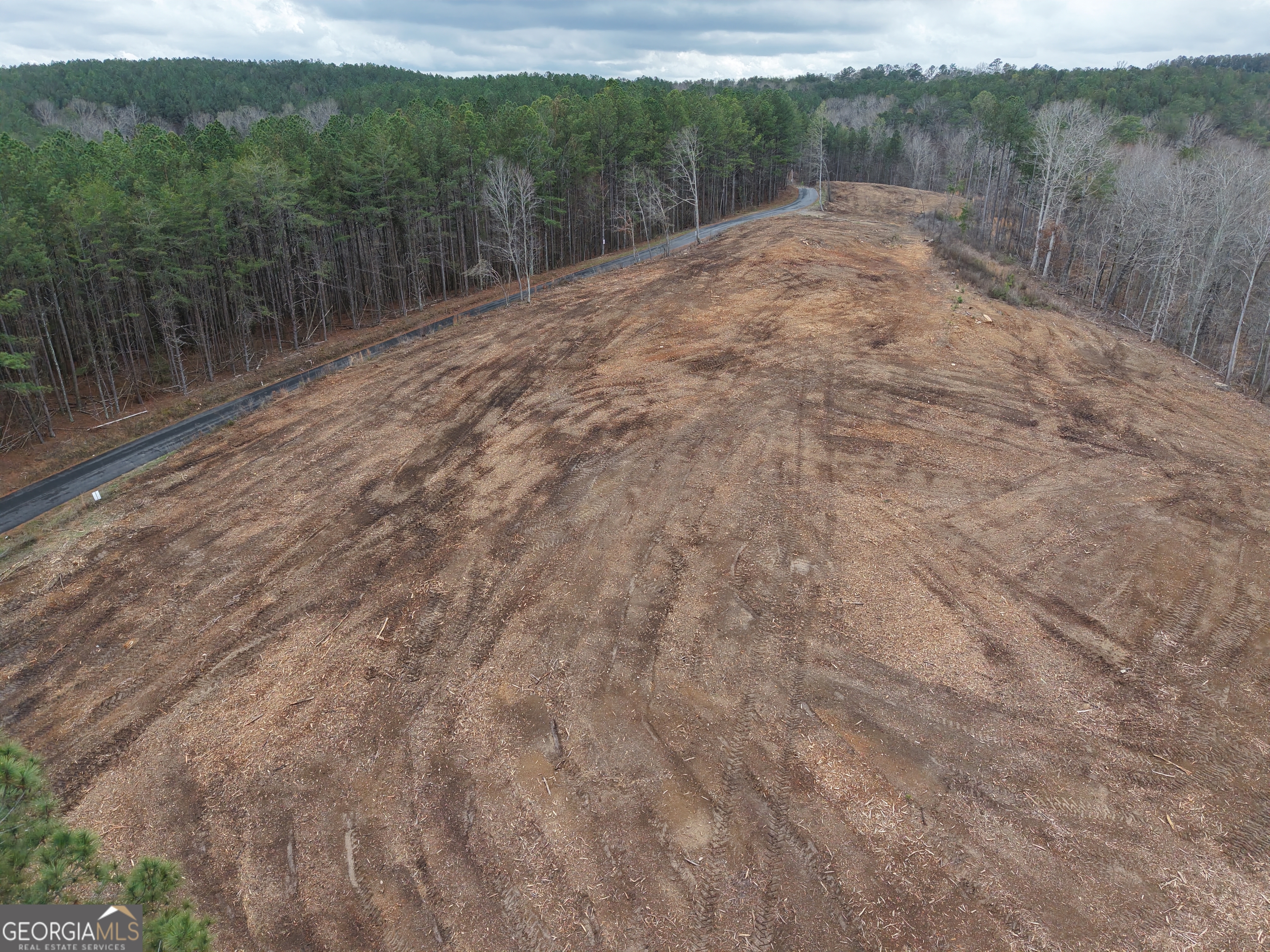 0 Johnson Mountain Road, Unit 7401E Fairmount, GA 30139 - Photo 13 of 53 a view of a dry yard with mountain