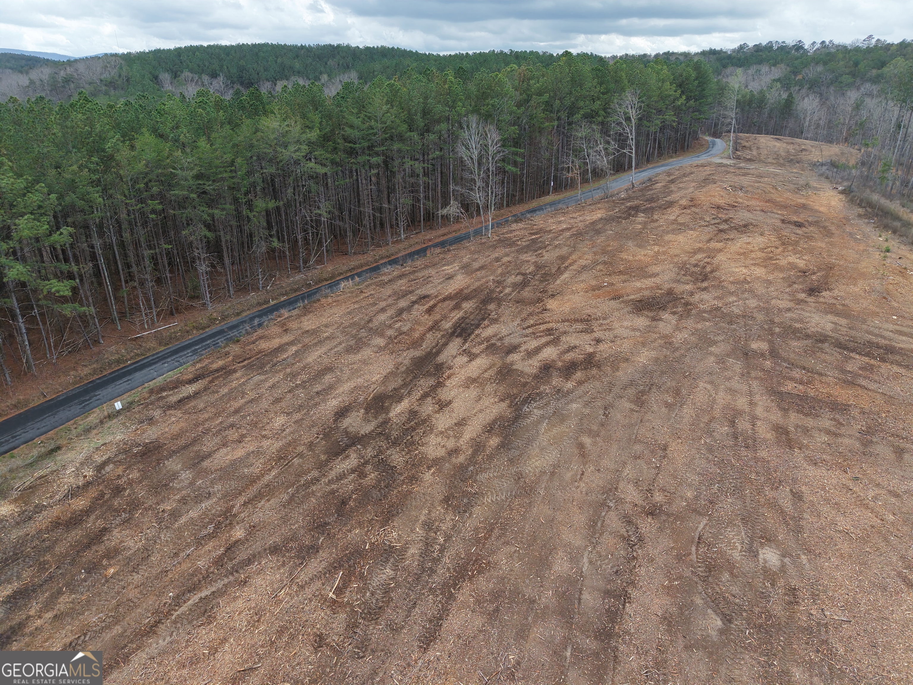 0 Johnson Mountain Road, Unit 7401E Fairmount, GA 30139 - Photo 15 of 53 a view of a dry yard with trees in the background