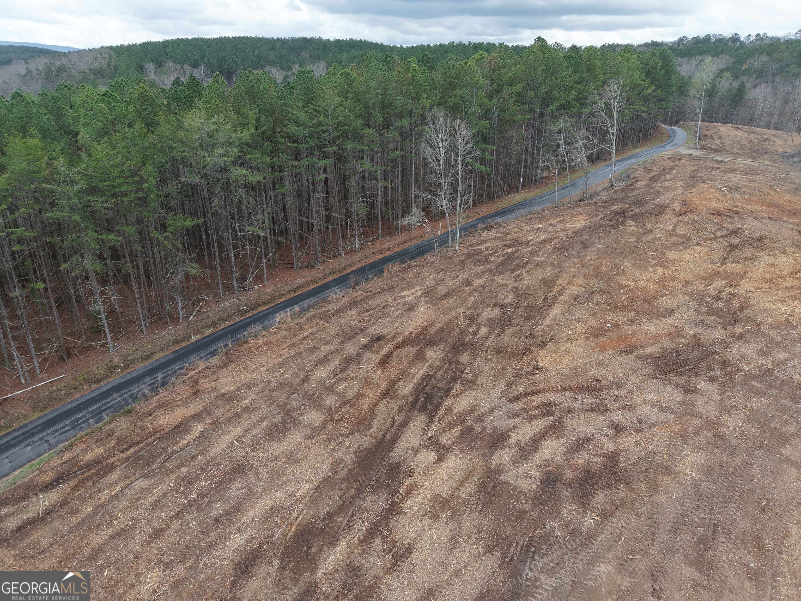 0 Johnson Mountain Road, Unit 7401E Fairmount, GA 30139 - Photo 17 of 53 a view of a back yard from a balcony