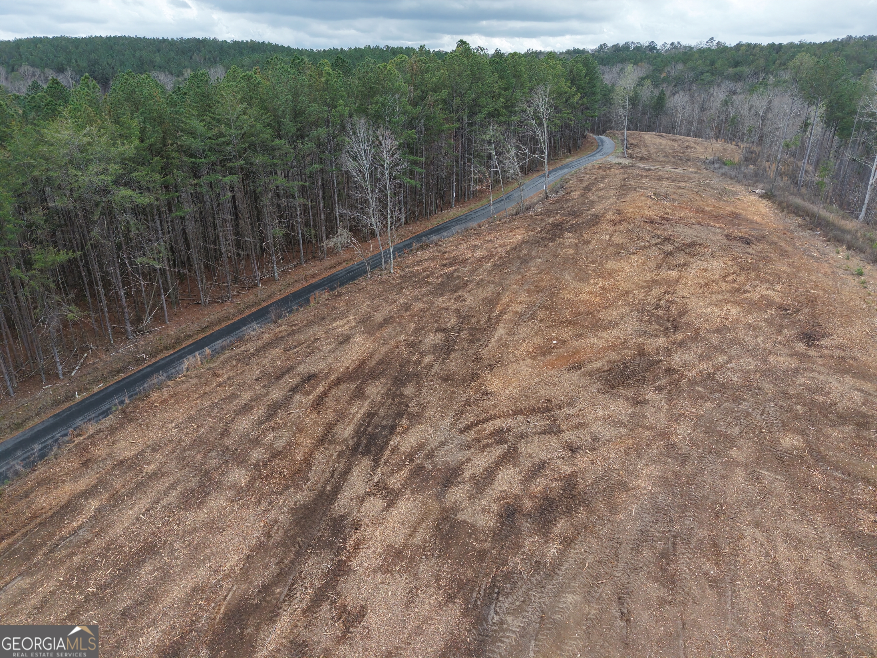 0 Johnson Mountain Road, Unit 7401E Fairmount, GA 30139 - Photo 19 of 53 a view of a backyard with mountain view