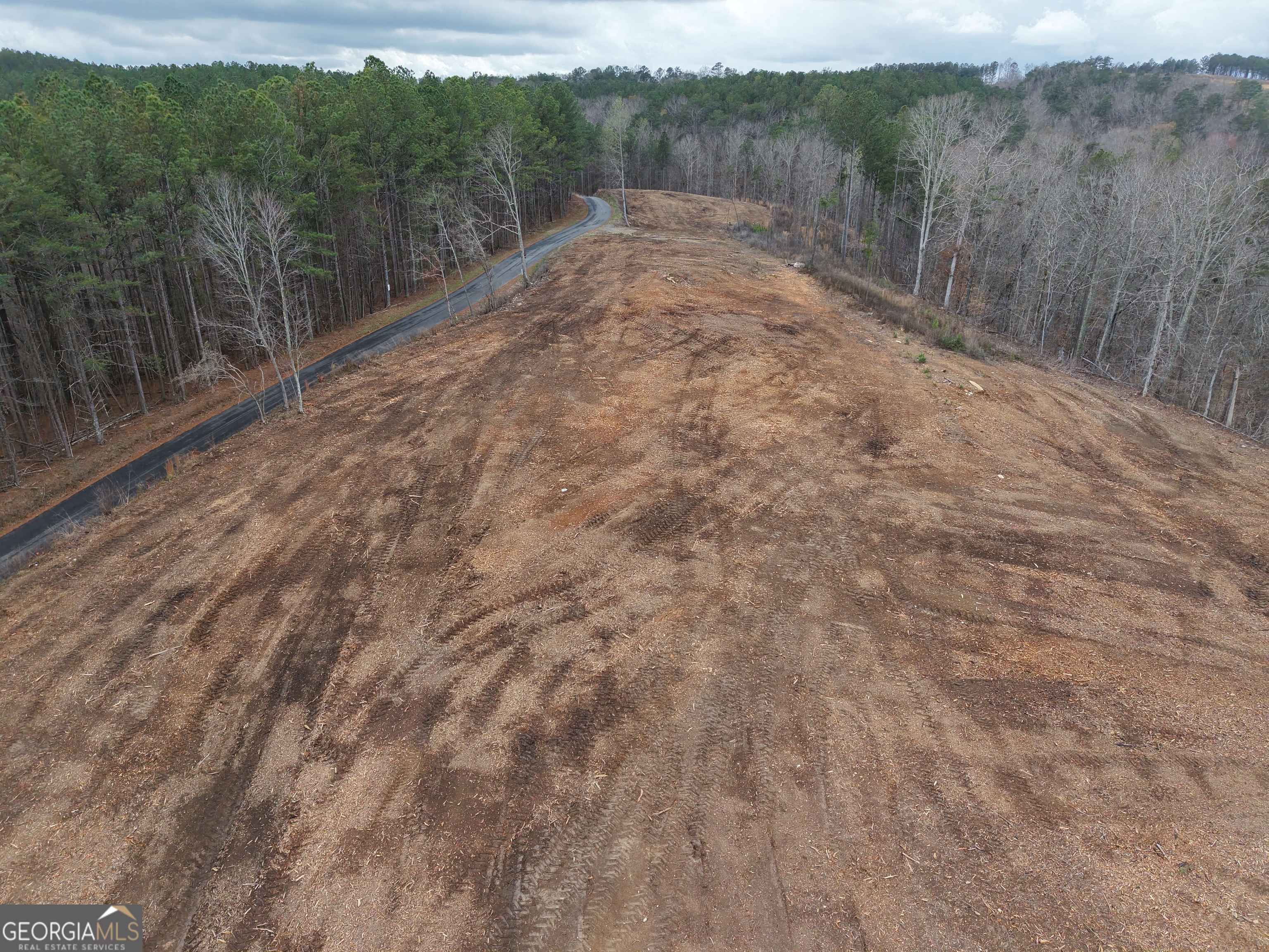 0 Johnson Mountain Road, Unit 7401E Fairmount, GA 30139 - Photo 21 of 53 a view of a dry yard with green space