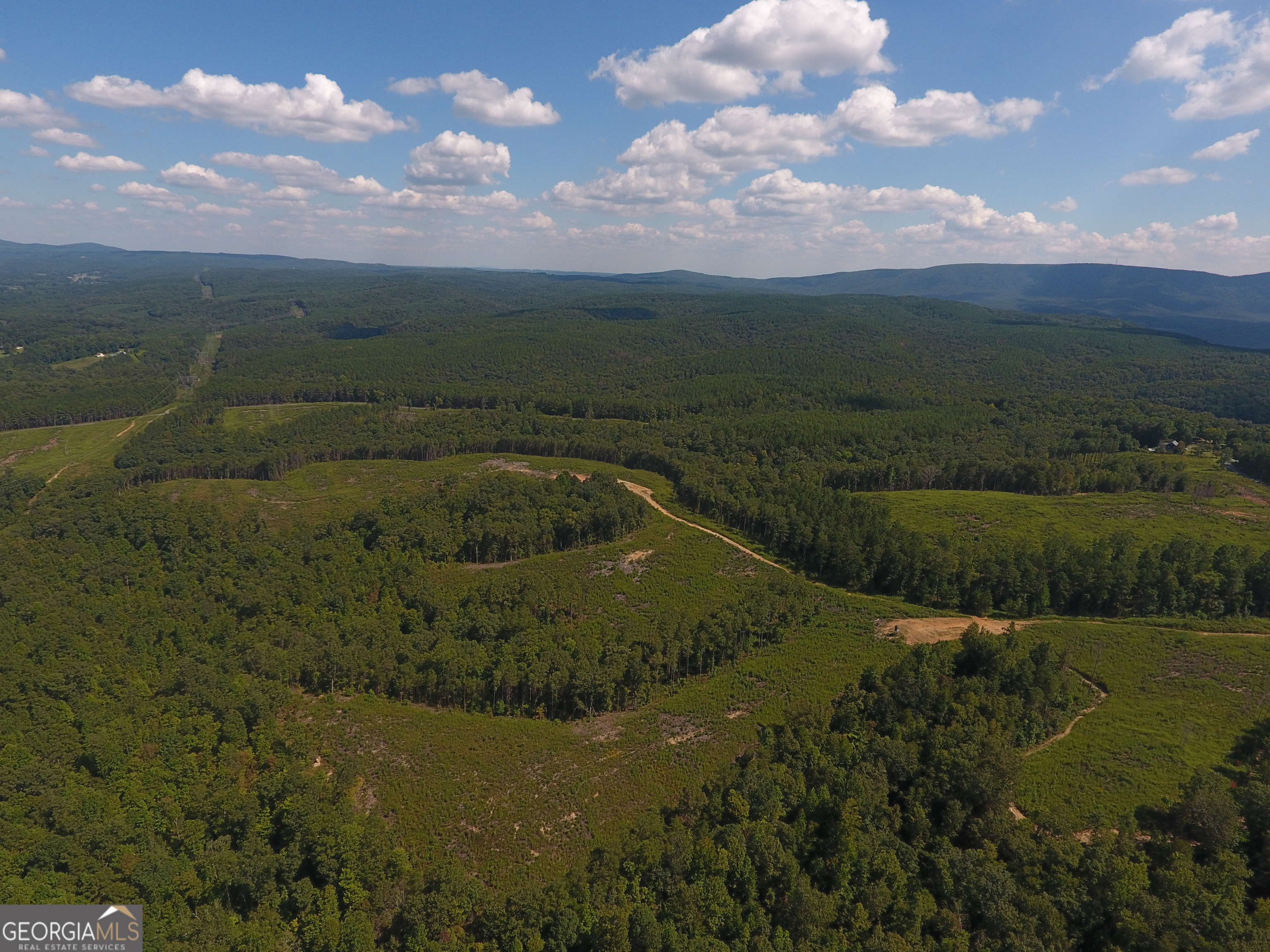 0 Johnson Mountain Road, Unit 7401E Fairmount, GA 30139 - Photo 22 of 33 a view of a lake in middle of the town