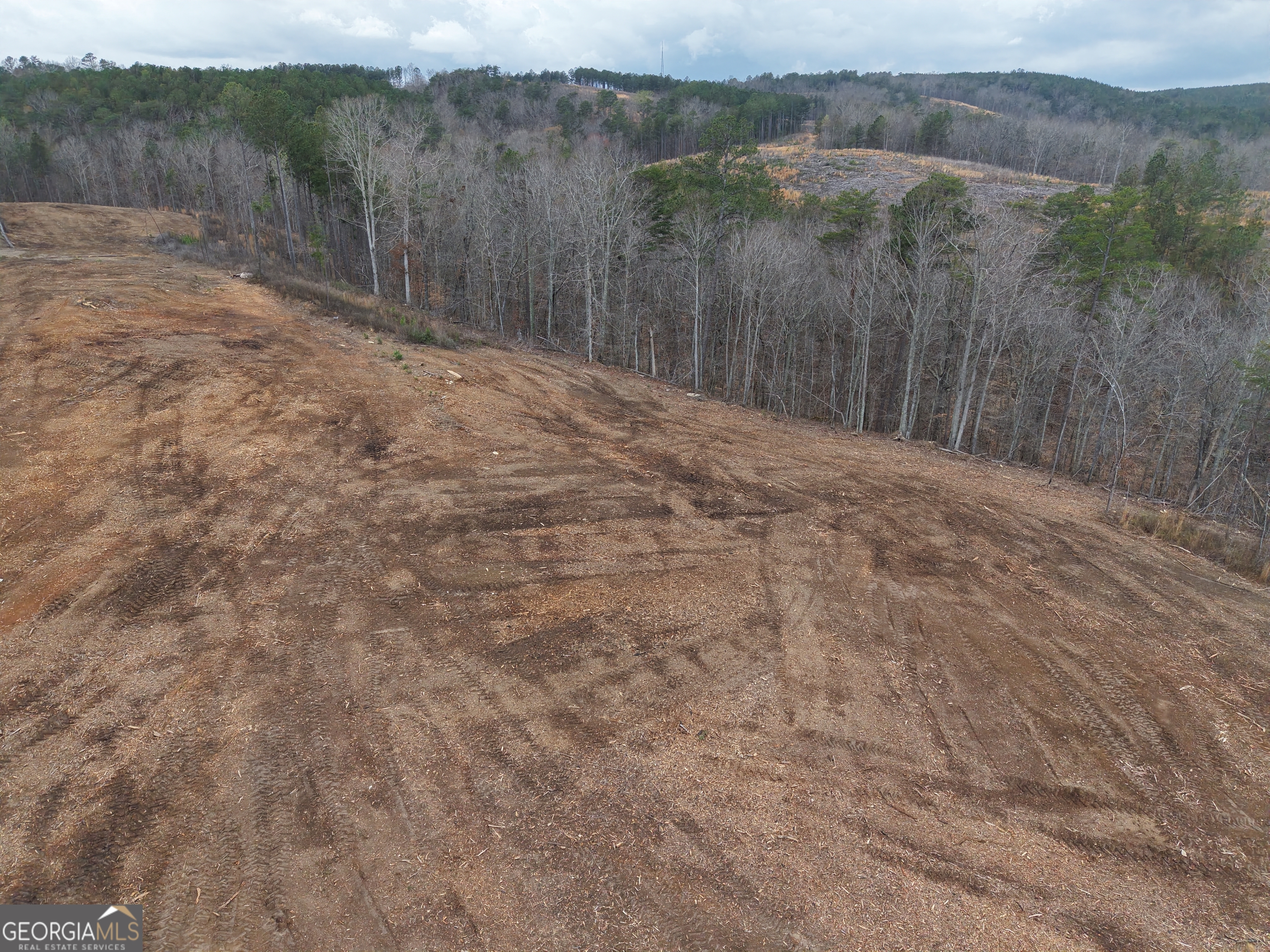 0 Johnson Mountain Road, Unit 7401E Fairmount, GA 30139 - Photo 23 of 53