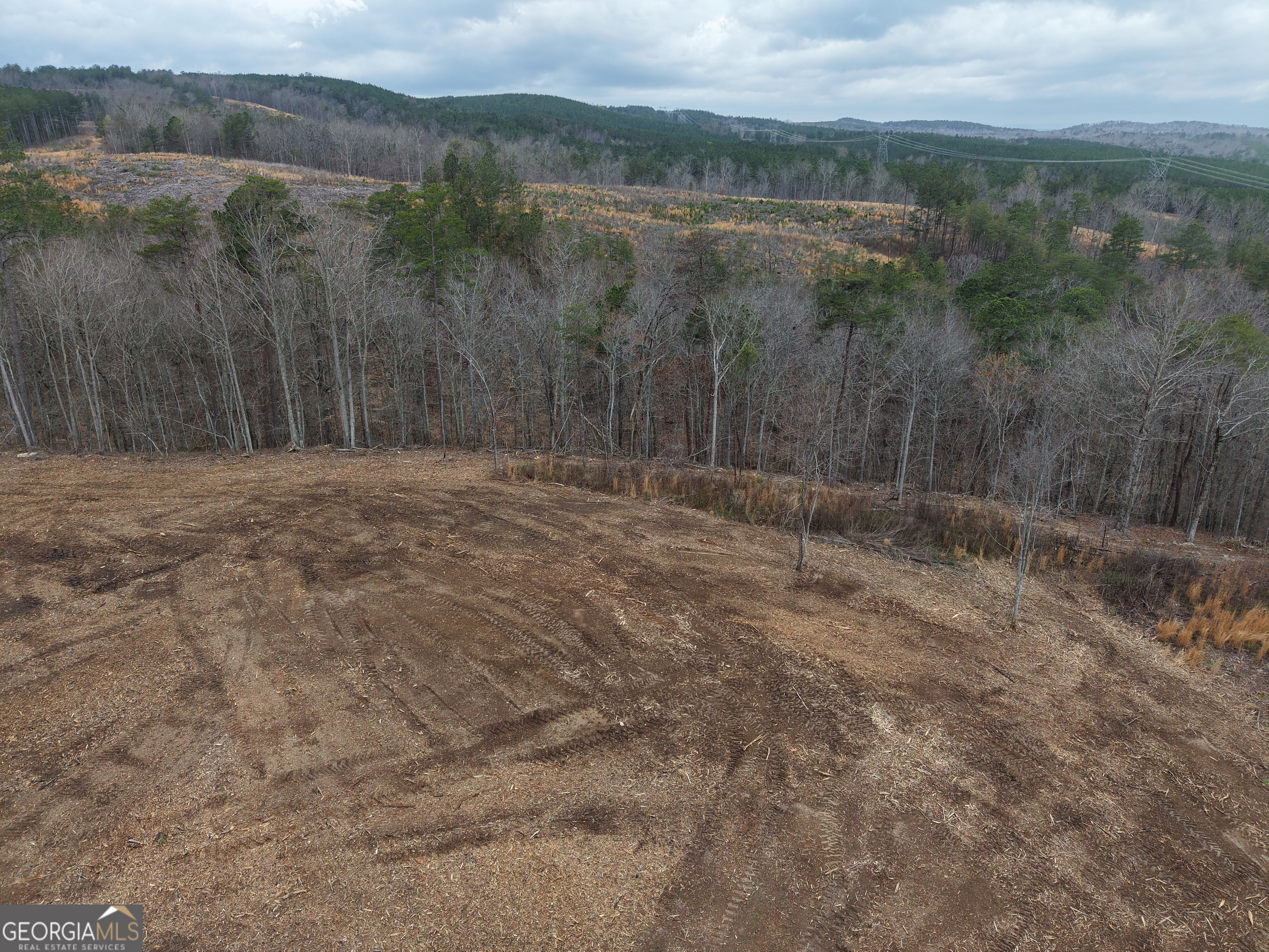 0 Johnson Mountain Road, Unit 7401E Fairmount, GA 30139 - Photo 25 of 53 a view of a forest with a forest
